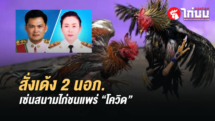 มท.เด้งด่วน 2 นายอำเภอป่าโมก-ชุมพร เซ่นสนามไก่ชน แพร่เชื้อโควิด